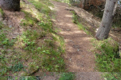 Fussweg-zum-Parkplatz