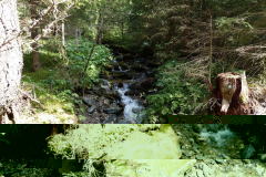 Oswaldbach